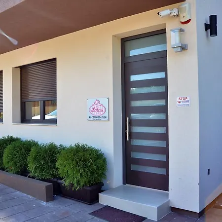 Lotos Depandans 3* Ni